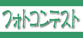 フォトコンテスト